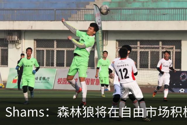 Shams：森林狼将在自由市场积极补强4号位 但他们只能提供底薪